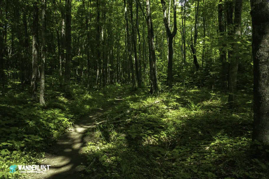 Pictured Rocks Travel Guide