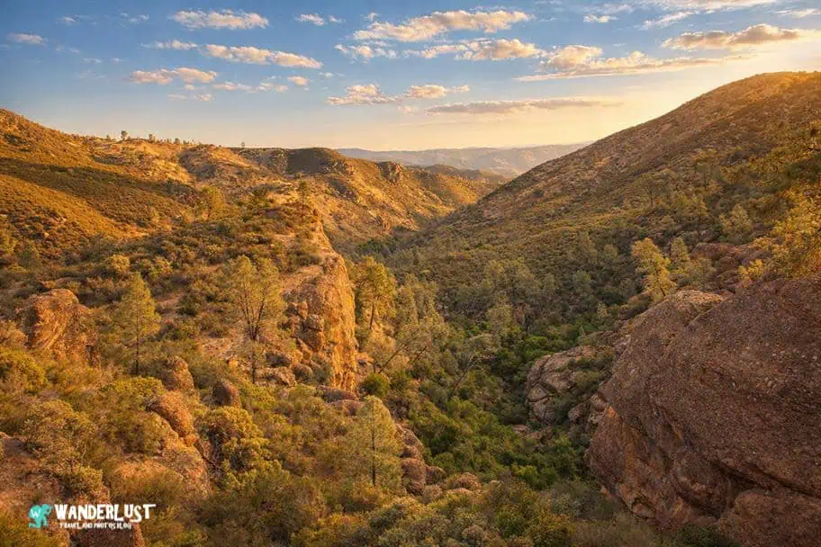 Pinnacles National Park Guide