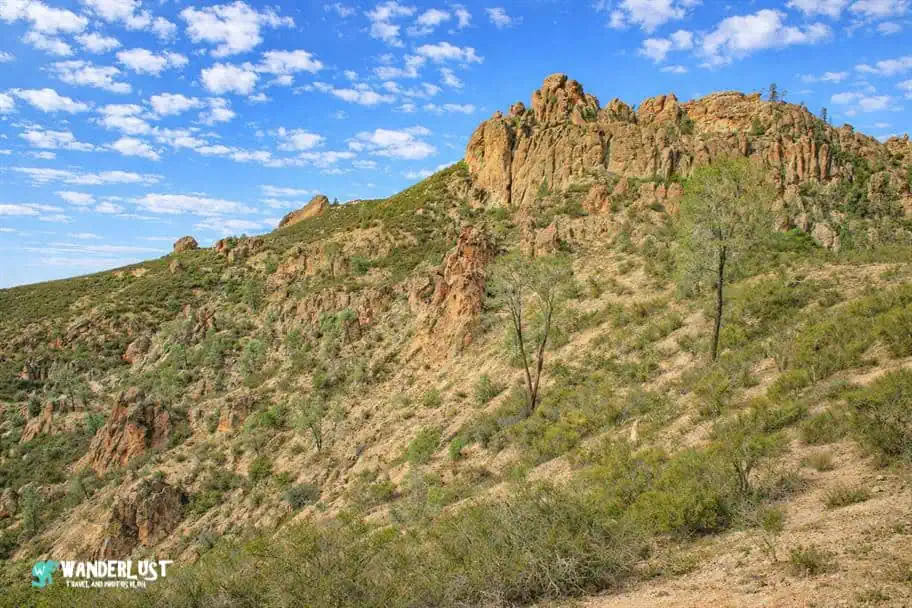 Pinnacles National Park Guide
