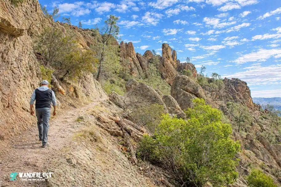 Pinnacles National Park Guide