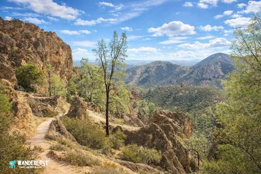 Pinnacles National Park Guide