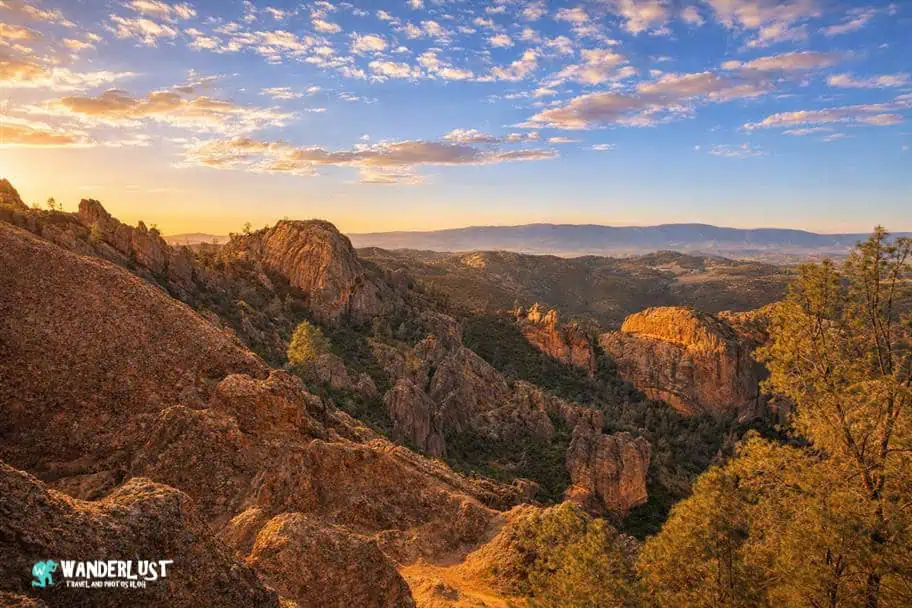 Pinnacles National Park Guide
