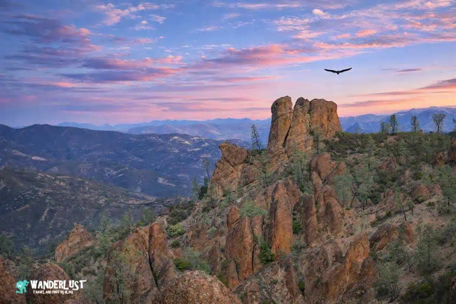 Pinnacles National Park Guide