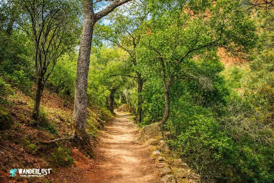 Pinnacles National Park Guide