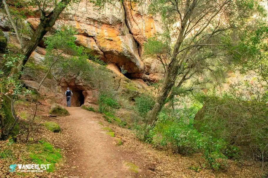 Pinnacles National Park Guide - Moses Spring Trail