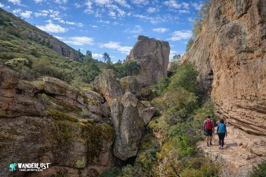 Pinnacles National Park Guide