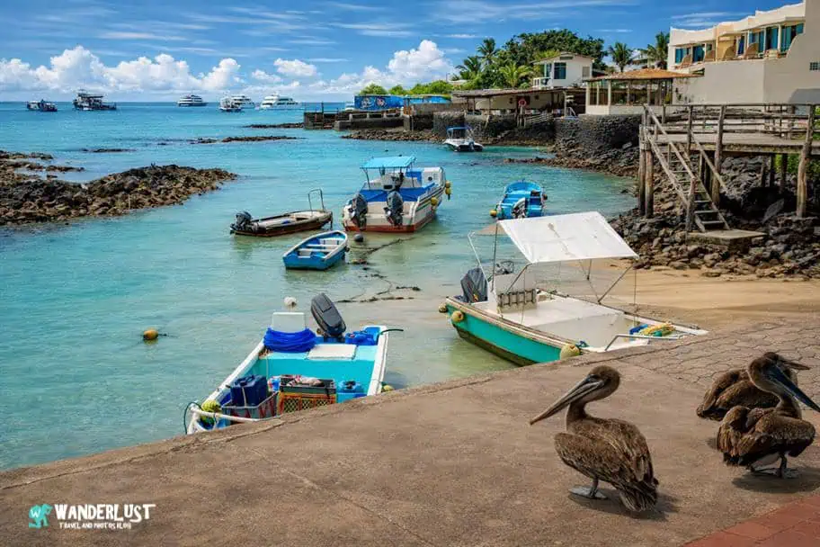 top South American travel destinations - Puerto Ayora, Ecuador