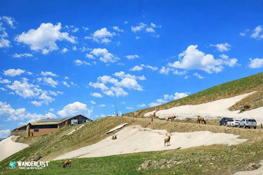 Rocky Mountain National Park Guide
