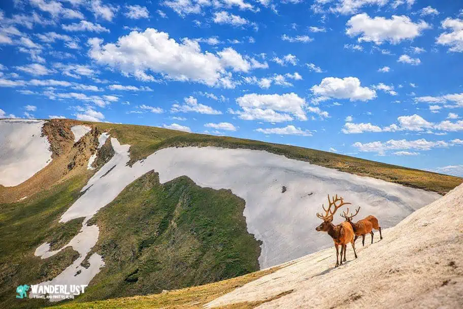 Rocky Mountain National Park Guide