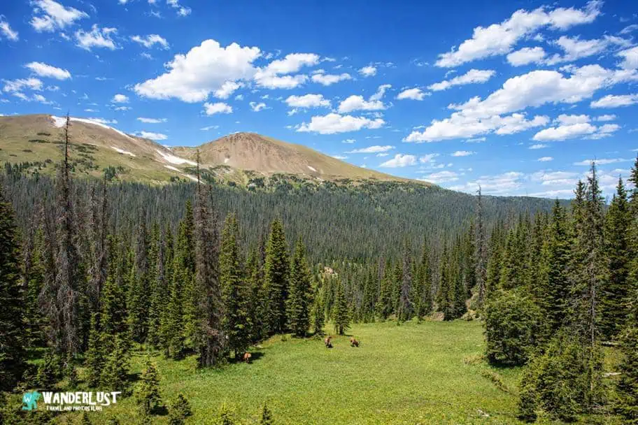 Rocky Mountain National Park Guide