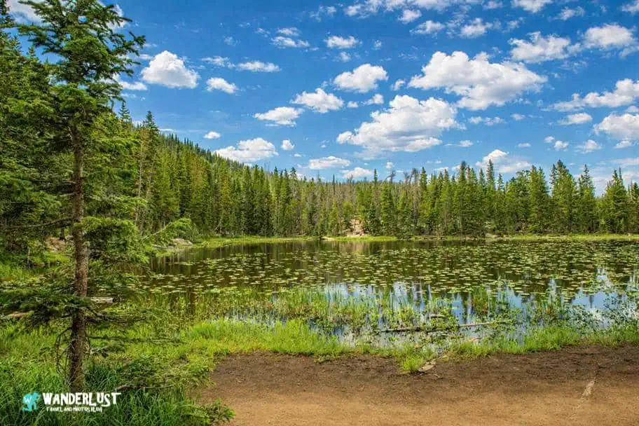Rocky Mountain National Park Guide