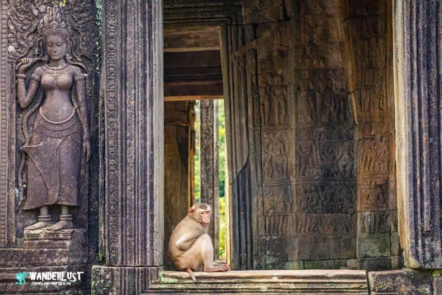 Siem Reap, Cambodia Guide