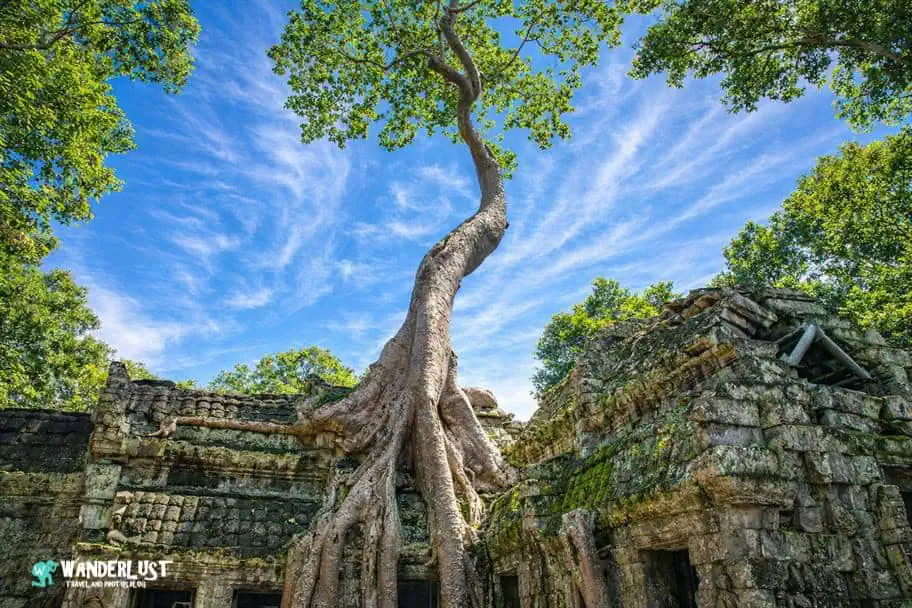 Siem Reap, Cambodia Guide