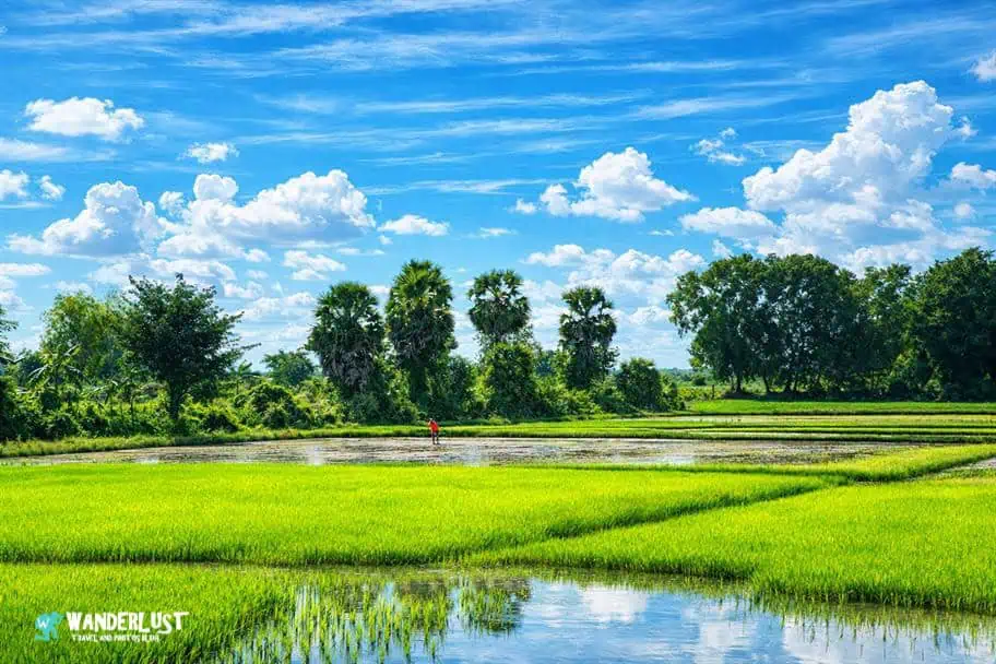 Siem Reap, Cambodia Guide