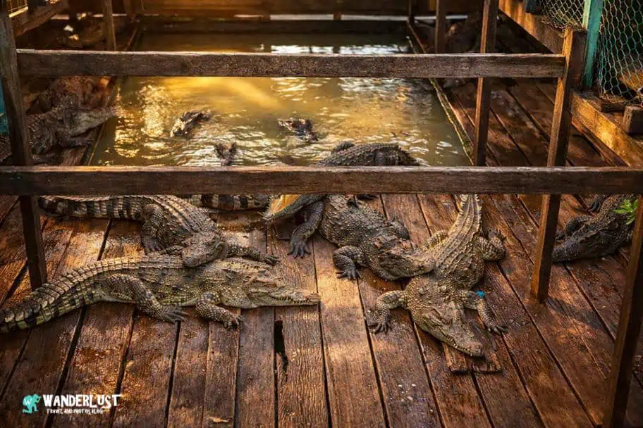 Siem Reap, Cambodia Guide