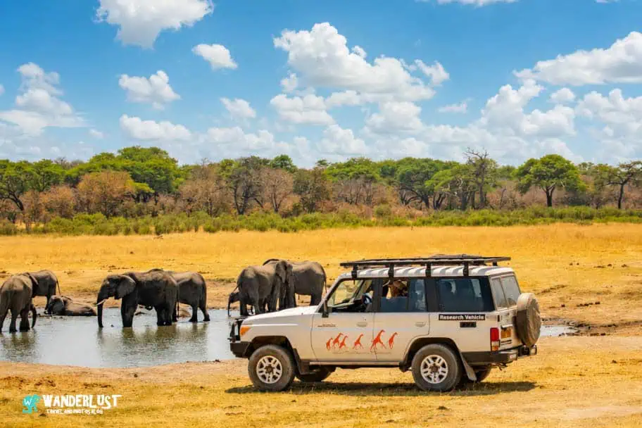 Hwange National Park Safari Elephants