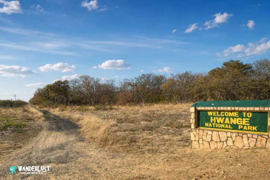 Hwange National Park Safari