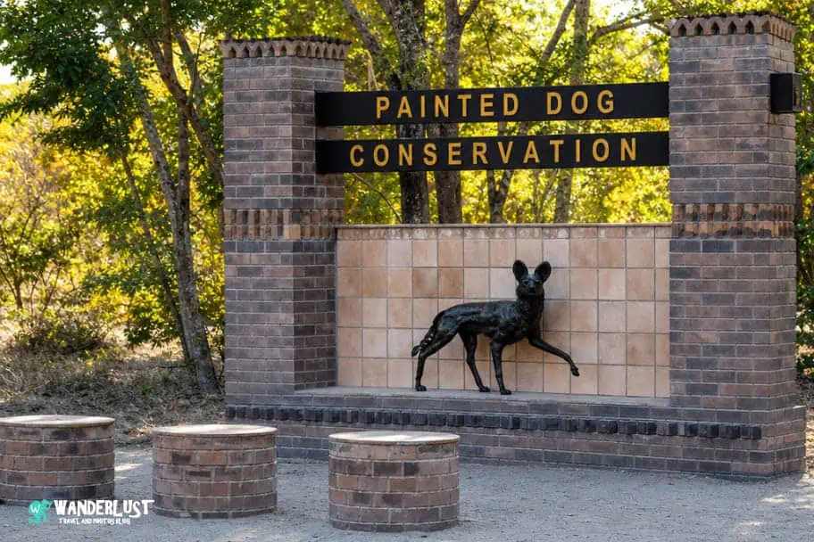 Hwange National Park Safari Painted Dog Conservation
