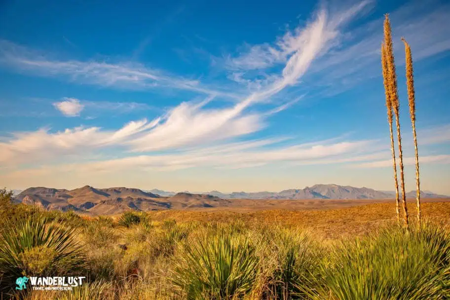 Big Bend National Park Big Bend National Park