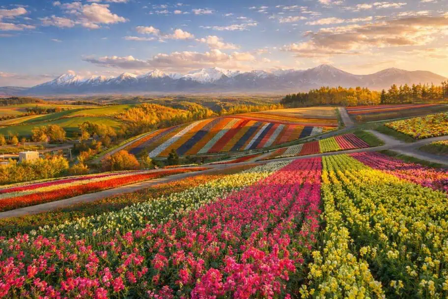 Hokkaido, Japan lesser-known travel spots - Hokkaido, Japan