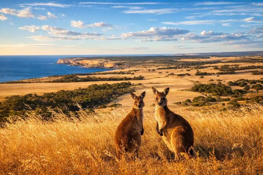 Kangaroo Island, Australia Kangaroo Island, Australia