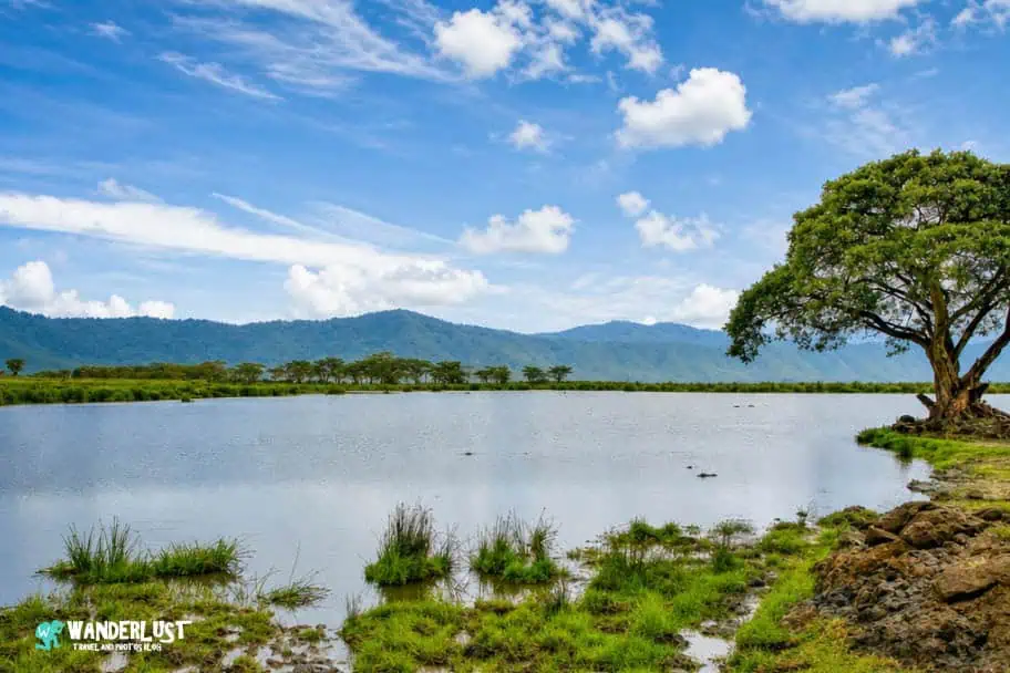 Lake Magadi
