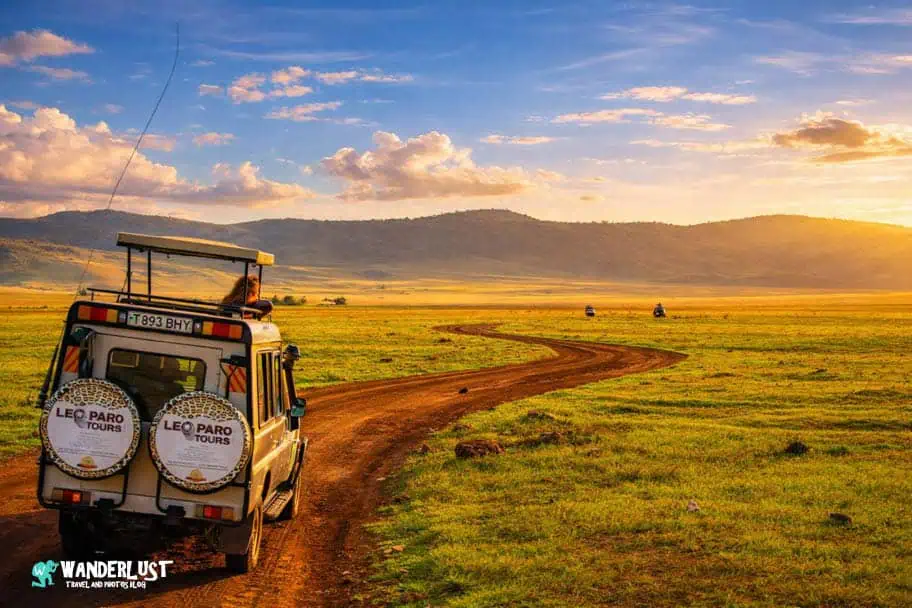 Ngorongoro Crater Safari
