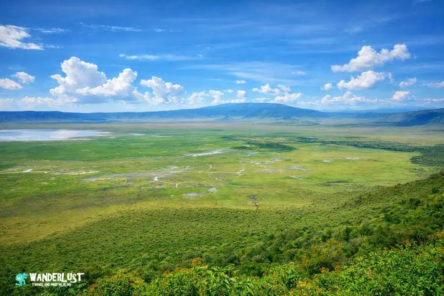 Ngorongoro Crater Safari