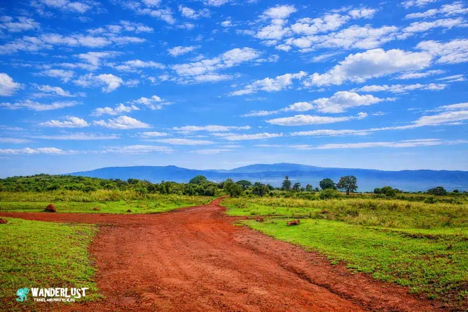 Ngorongoro Crater Safari