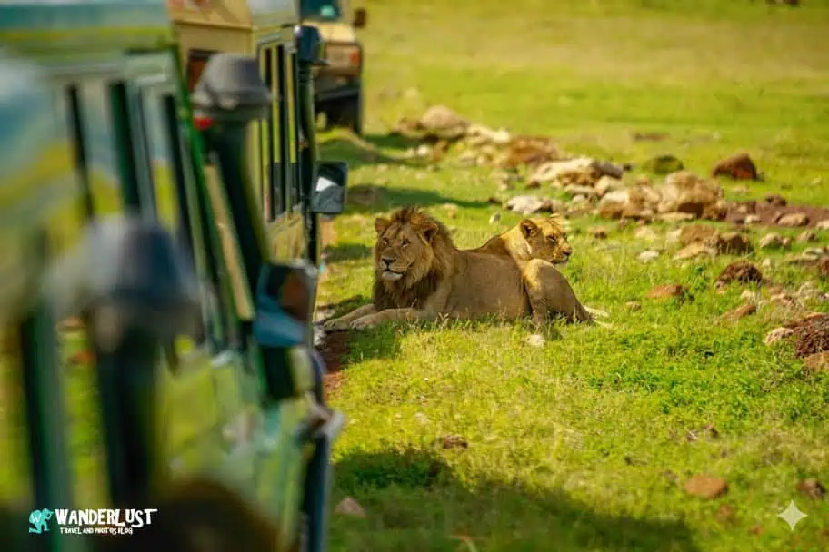 Ngorongoro Crater