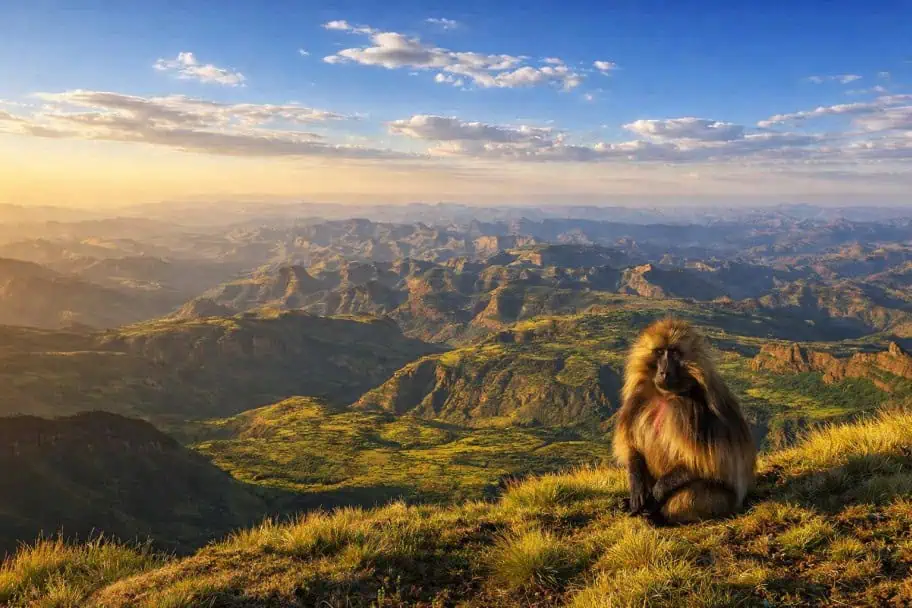 Simien Mountains, Ethiopia Simien Mountains, Ethiopia