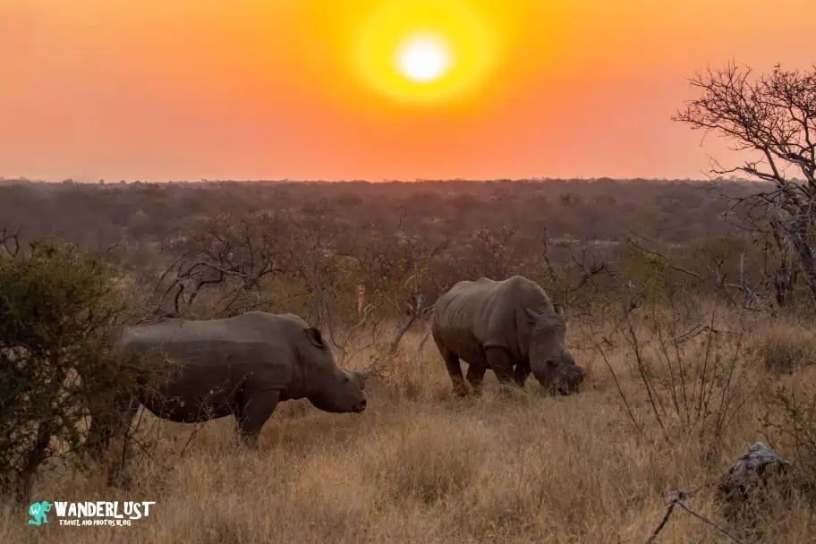 Predicting Amazing Sunrises and Sunsets