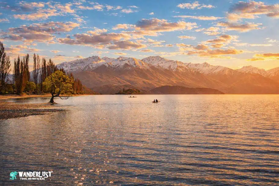 Wanaka Tree