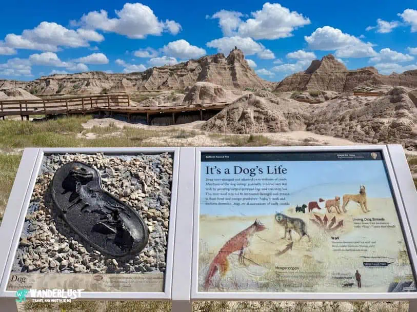 The Fossil Exhibit Trail The Fossil Exhibit Trail