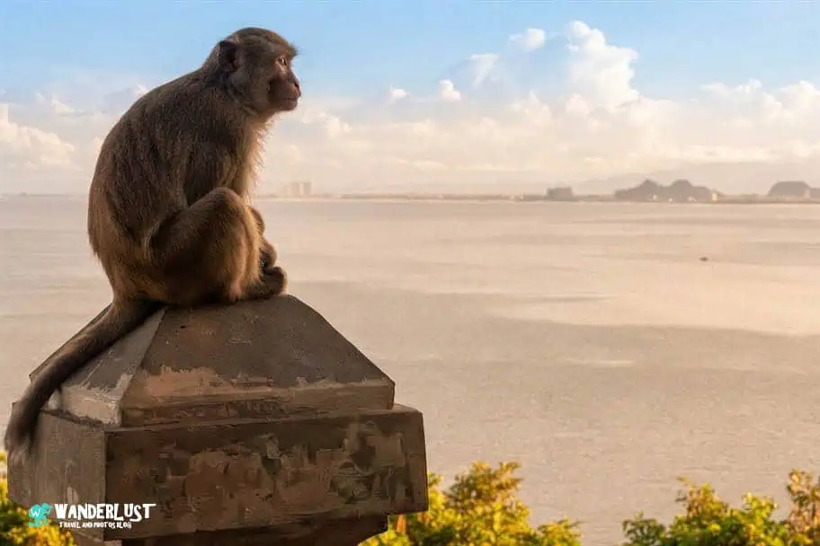 Da Nang, Vietnam Da Nang Vietnam Guide