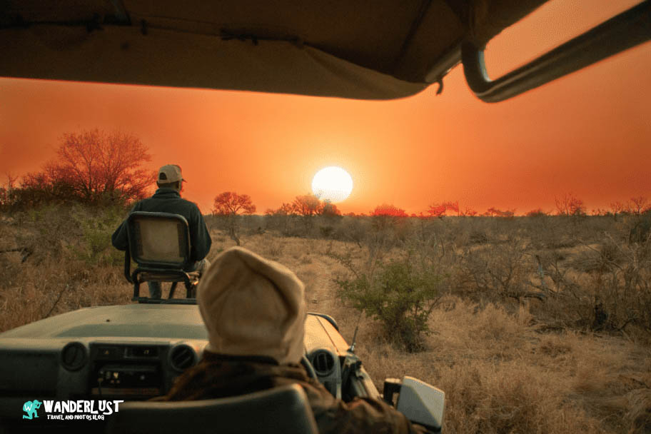 Greater Kruger National Park Safari