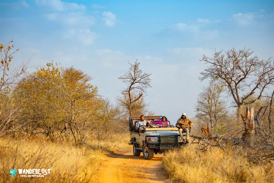 Greater Kruger National Park Safari
