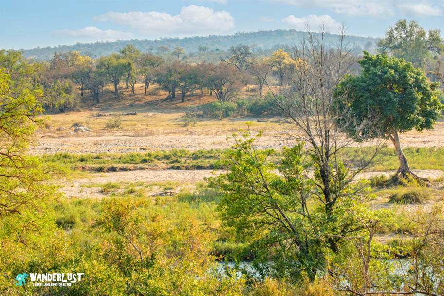Greater Kruger National Park Safari