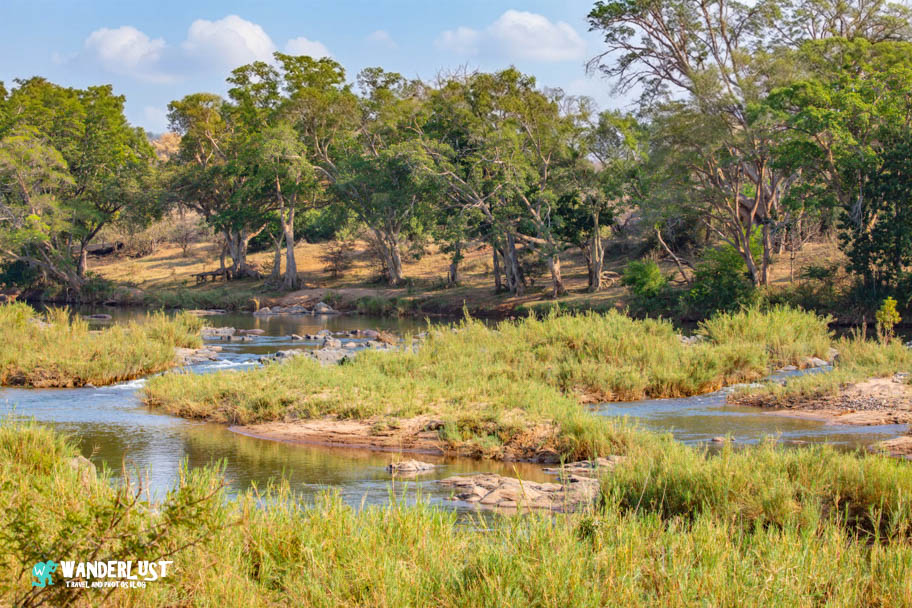 Greater Kruger National Park Safari