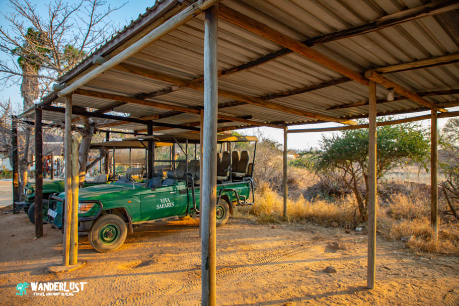 Greater Kruger National Park Safari