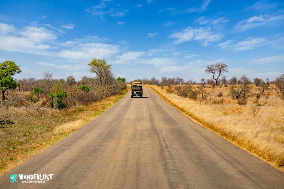 Greater Kruger National Park Safari