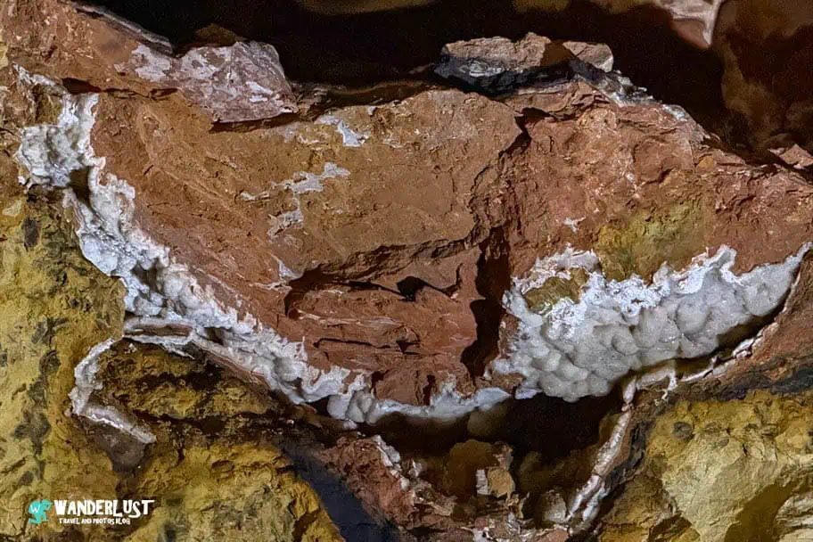 Jewel Cave visitor guide