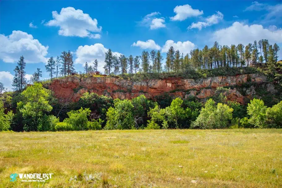 Custer State Park guide