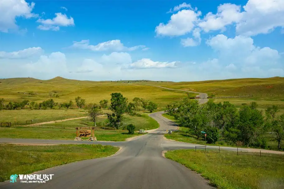 Custer State Park guide