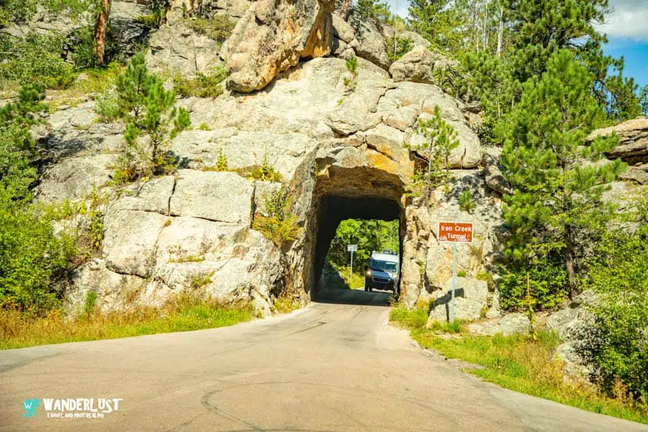 Custer State Park guide