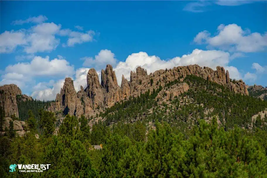 Custer State Park guide