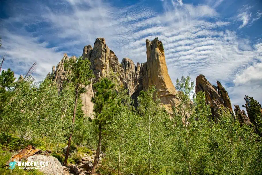 Custer State Park guide