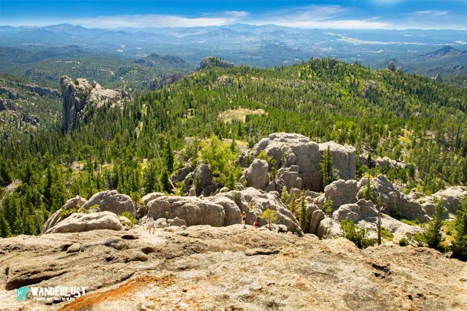 Custer State Park guide