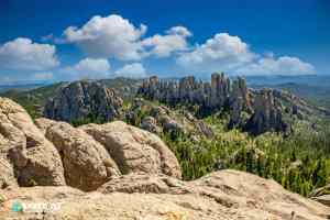 Custer State Park Guide: A Complete Black Hills Adventure