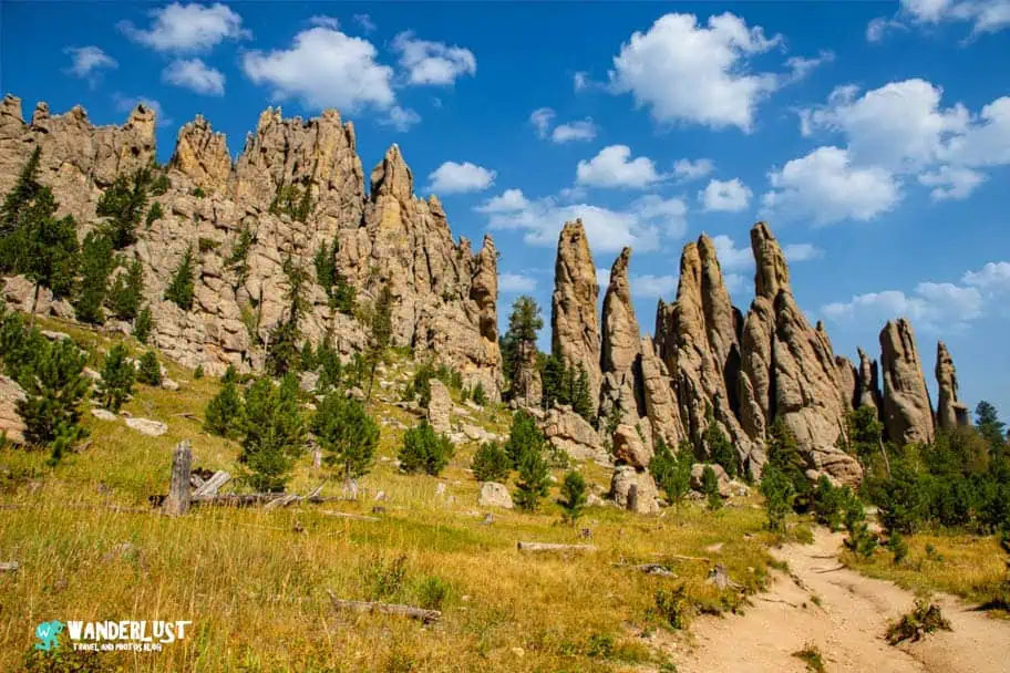 Custer State Park guide